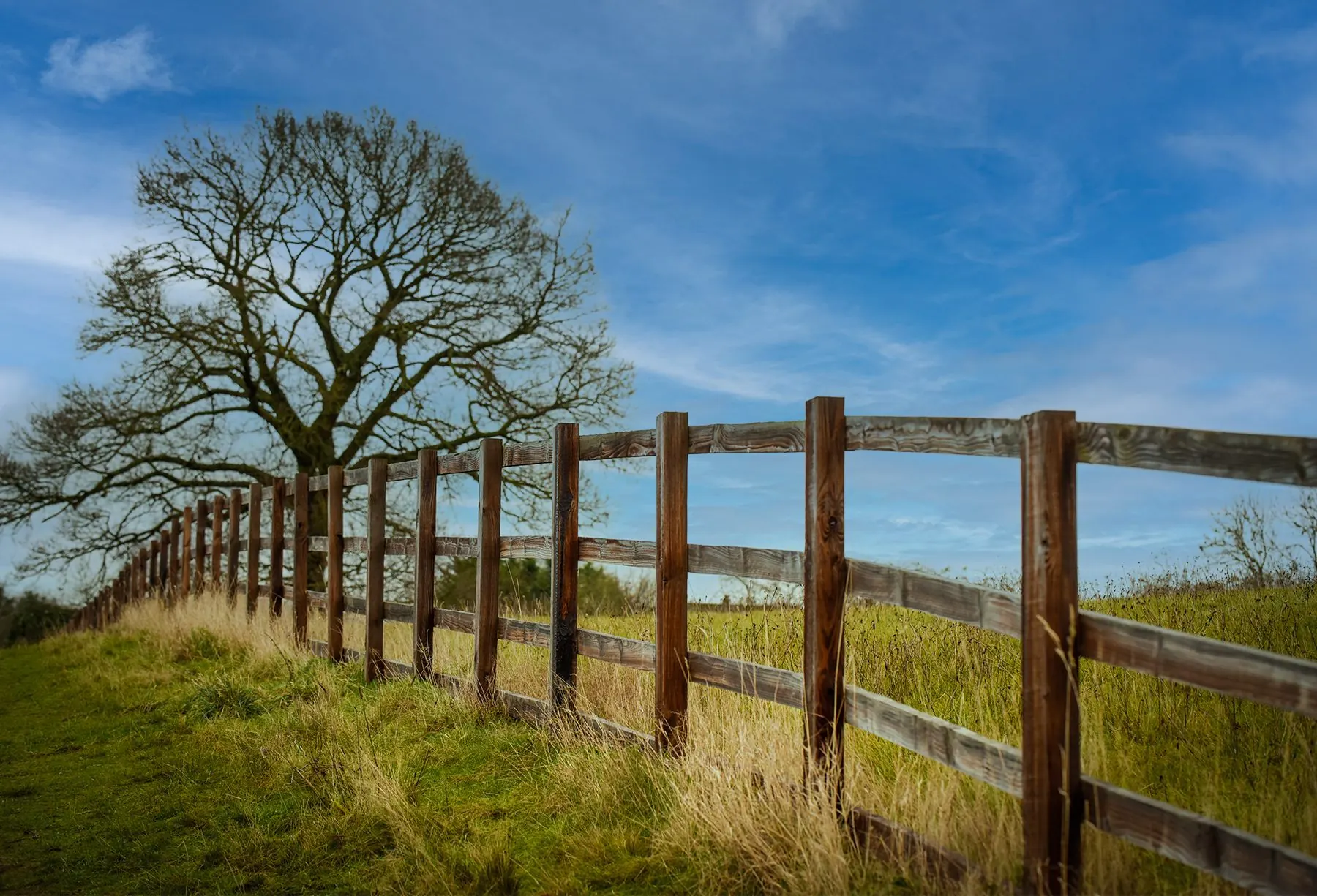 A wooden fence line along a grassy field